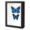 KAPIX Shadow Box 5x7 Picture Frame with Real Glass Deep Wood Memory Box Display case for Flowers,Ticket,Memorabilia,Keepsake,Medal,Art and Photos,Black
